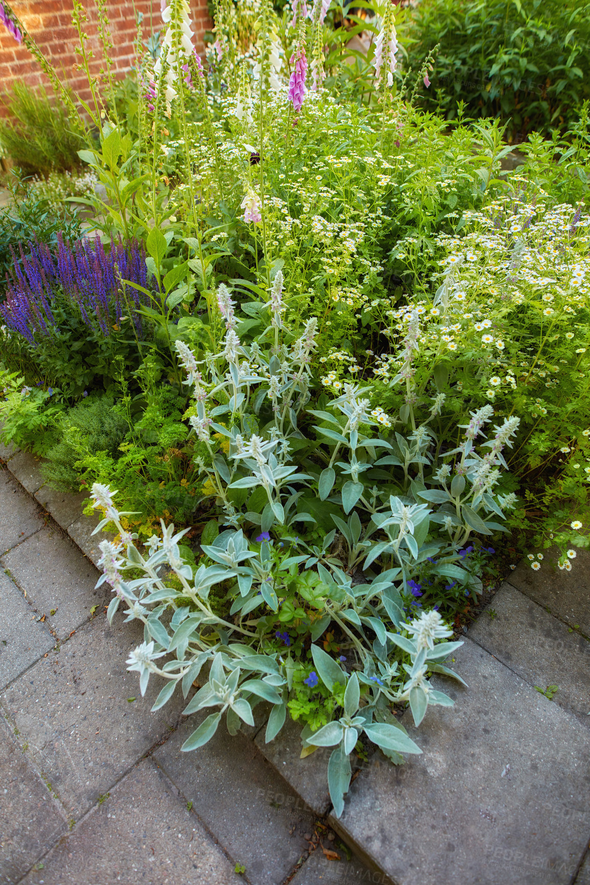 Buy stock photo A series of beautiful garden photos