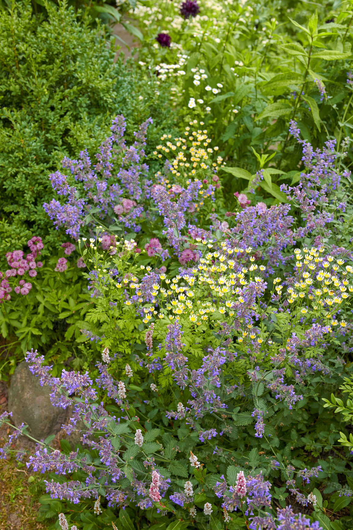 Buy stock photo A series of beautiful garden photos