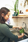 Make sure you rinse the soil from leafy veggies