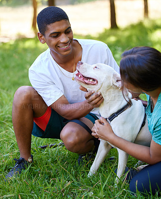 Buy stock photo Young people, couple and dog on lawn with happiness, playing with pitbull for pet love and fun outdoor. Adoption, foster and bonding in park with animal for friendship, puppy and care free in nature