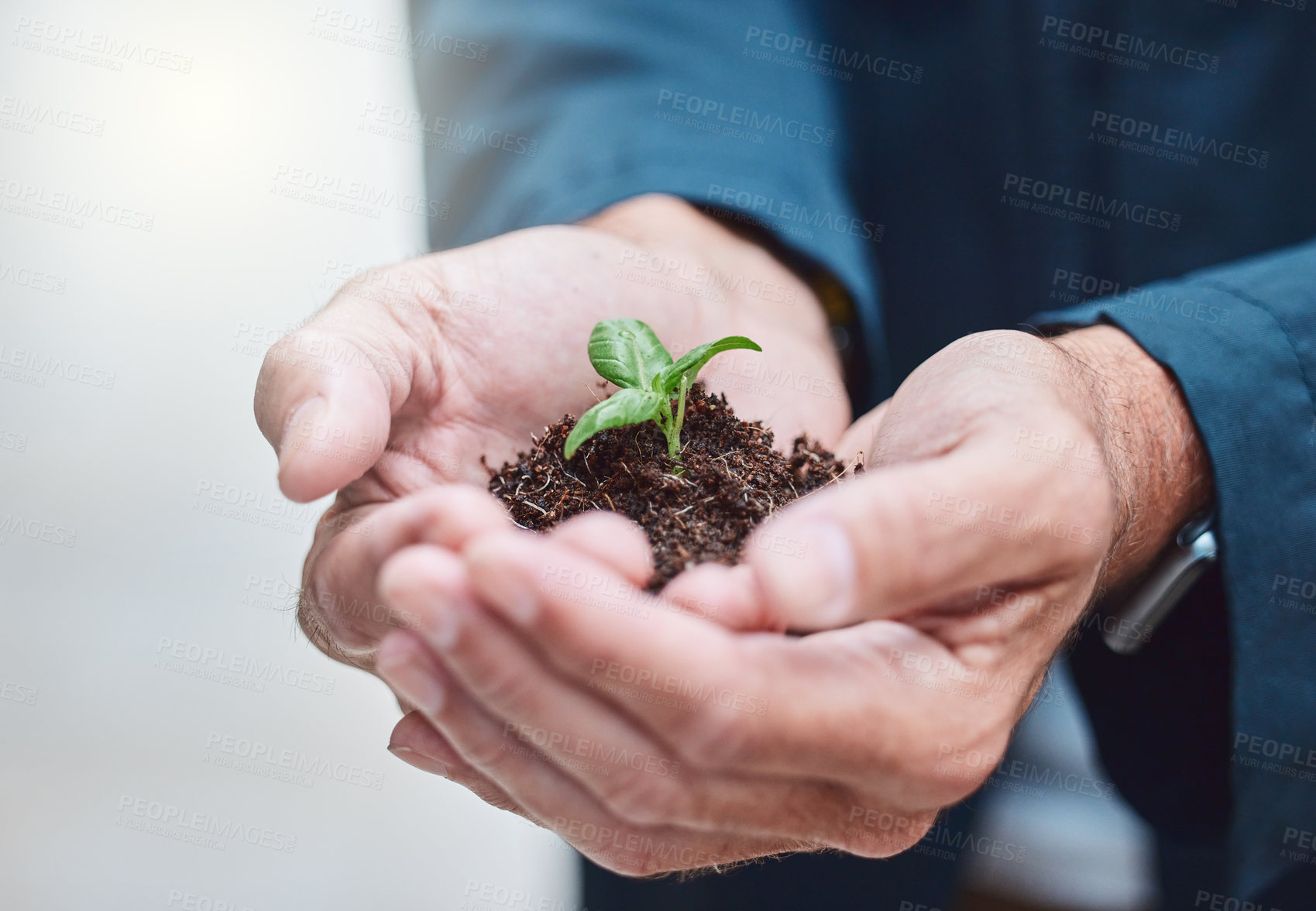 Buy stock photo Shot of an unrecognisable businessman holding a plant growing out of soil