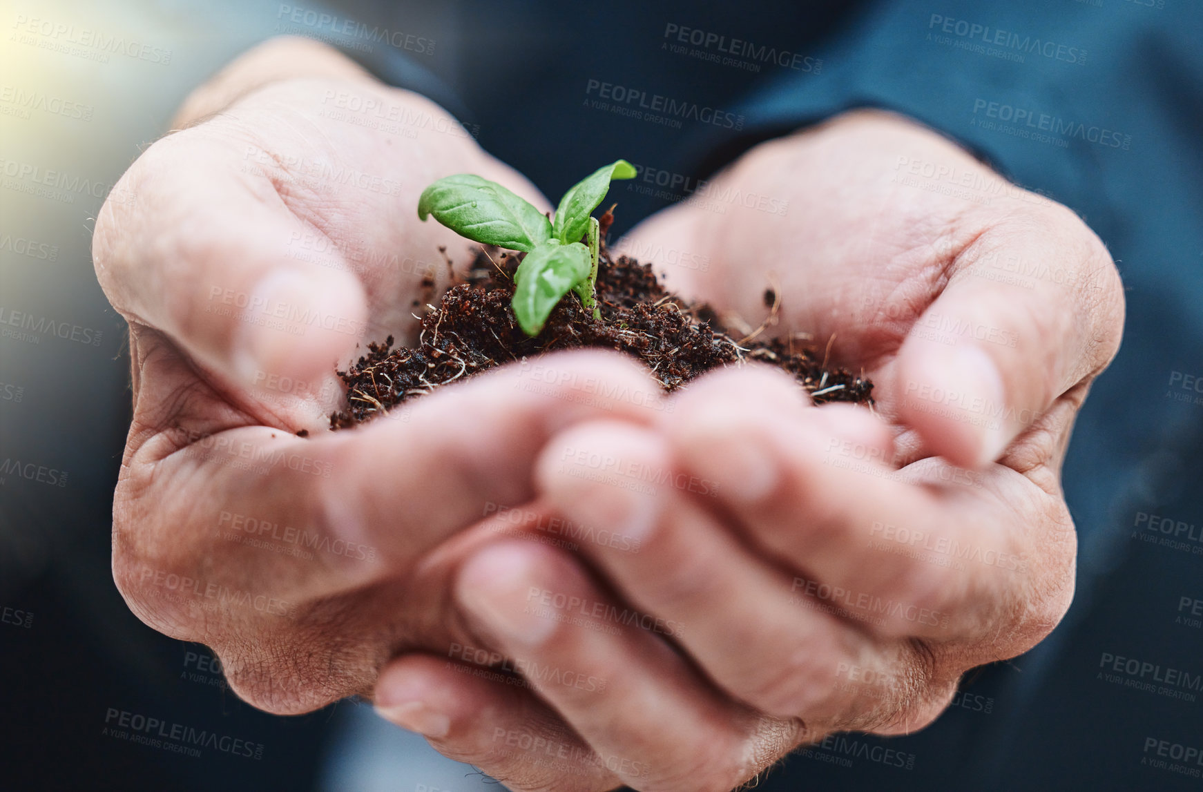 Buy stock photo Hand, plant and growth of leaf, businessman and nature for planet, sustainability and ecology for process. Innovation, company and corporate of carbon footprint, professional and worker in job