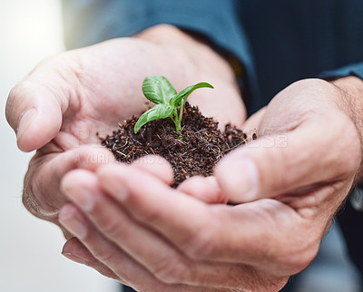 Buy stock photo Hand, plant and future of leaf, businessman and nature for planet, sustainability and ecology for process. Investment, company and corporate of carbon footprint, professional and worker in job