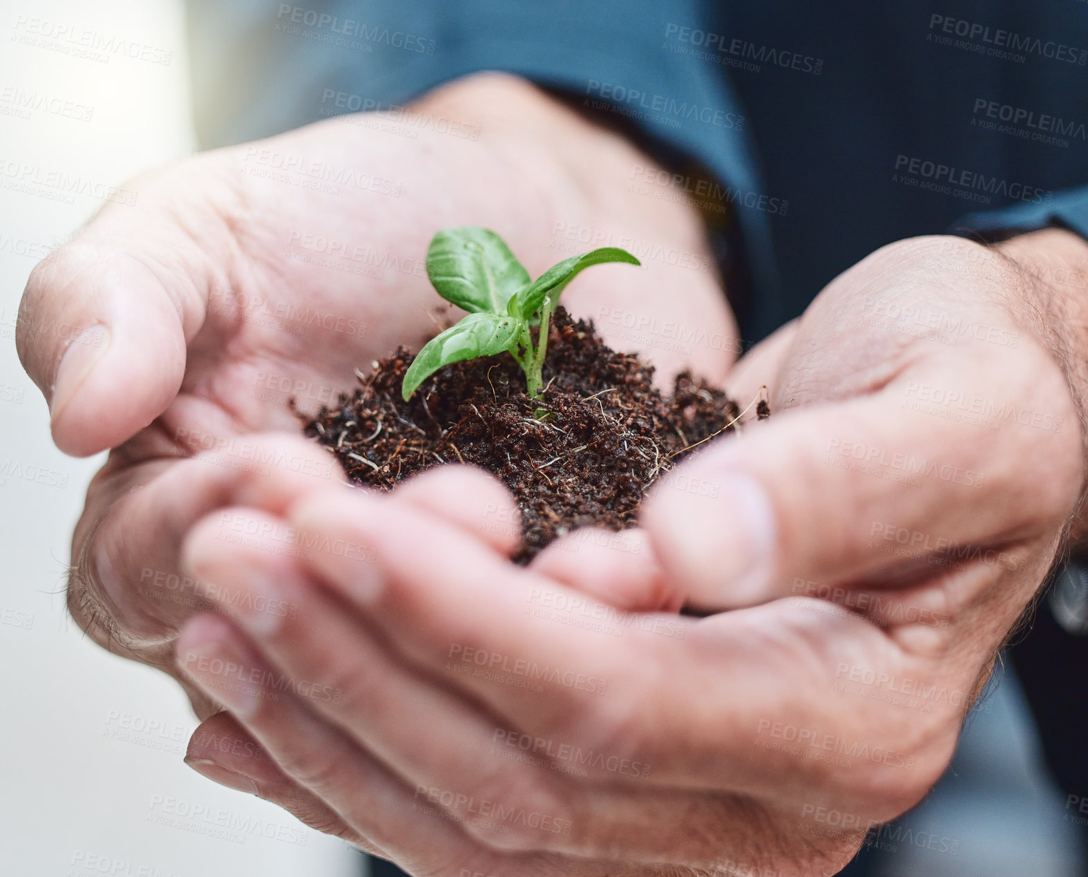 Buy stock photo Hand, plant and future of leaf, businessman and nature for planet, sustainability and ecology for process. Investment, company and corporate of carbon footprint, professional and worker in job