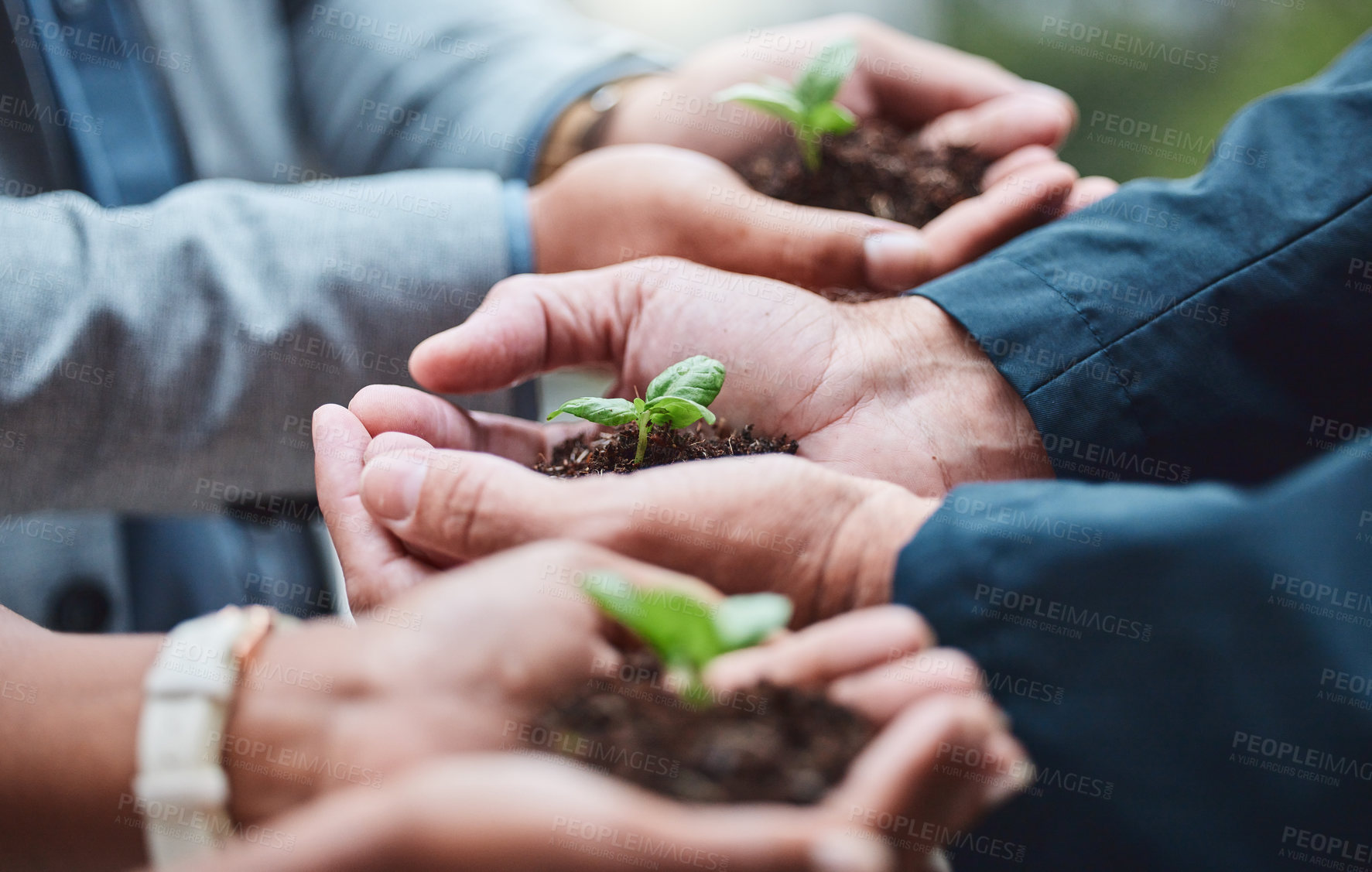 Buy stock photo Hand, plant and collaboration for leaf, business and nature for planet, sustainability and ecology for process. Investment, company and corporate of carbon footprint, people and worker in job