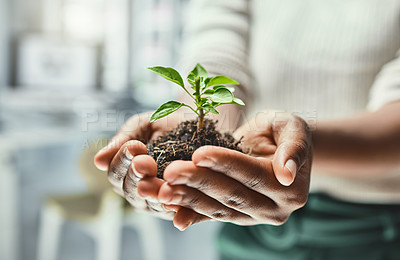 Buy stock photo Person hands, soil and plant, ecology and growth, eco friendly business with sustainability, nature and development. Fingers holding leaves growing, environment with new agro investment and closeup