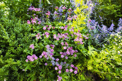 Buy stock photo A series of beautiful garden photos