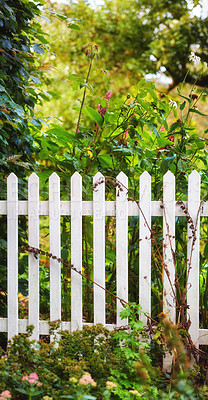 Buy stock photo A series of beautiful garden photos