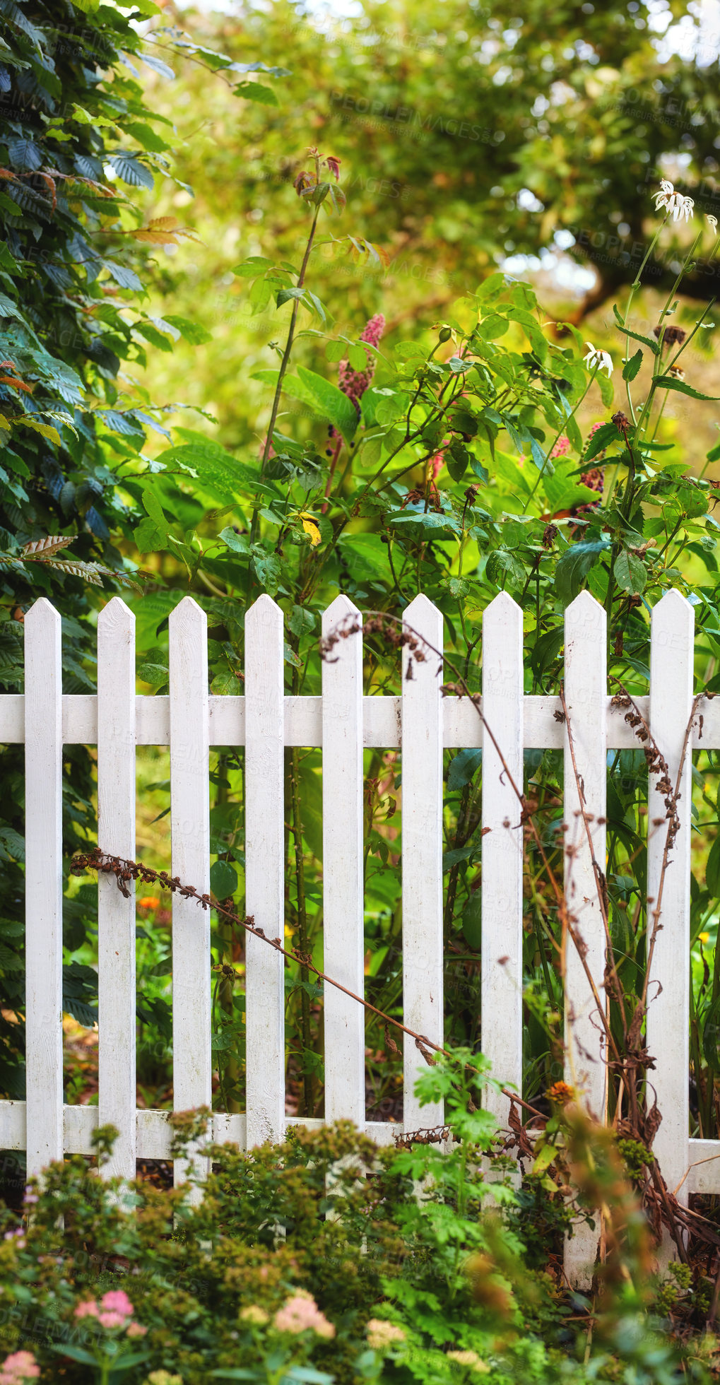 Buy stock photo A series of beautiful garden photos