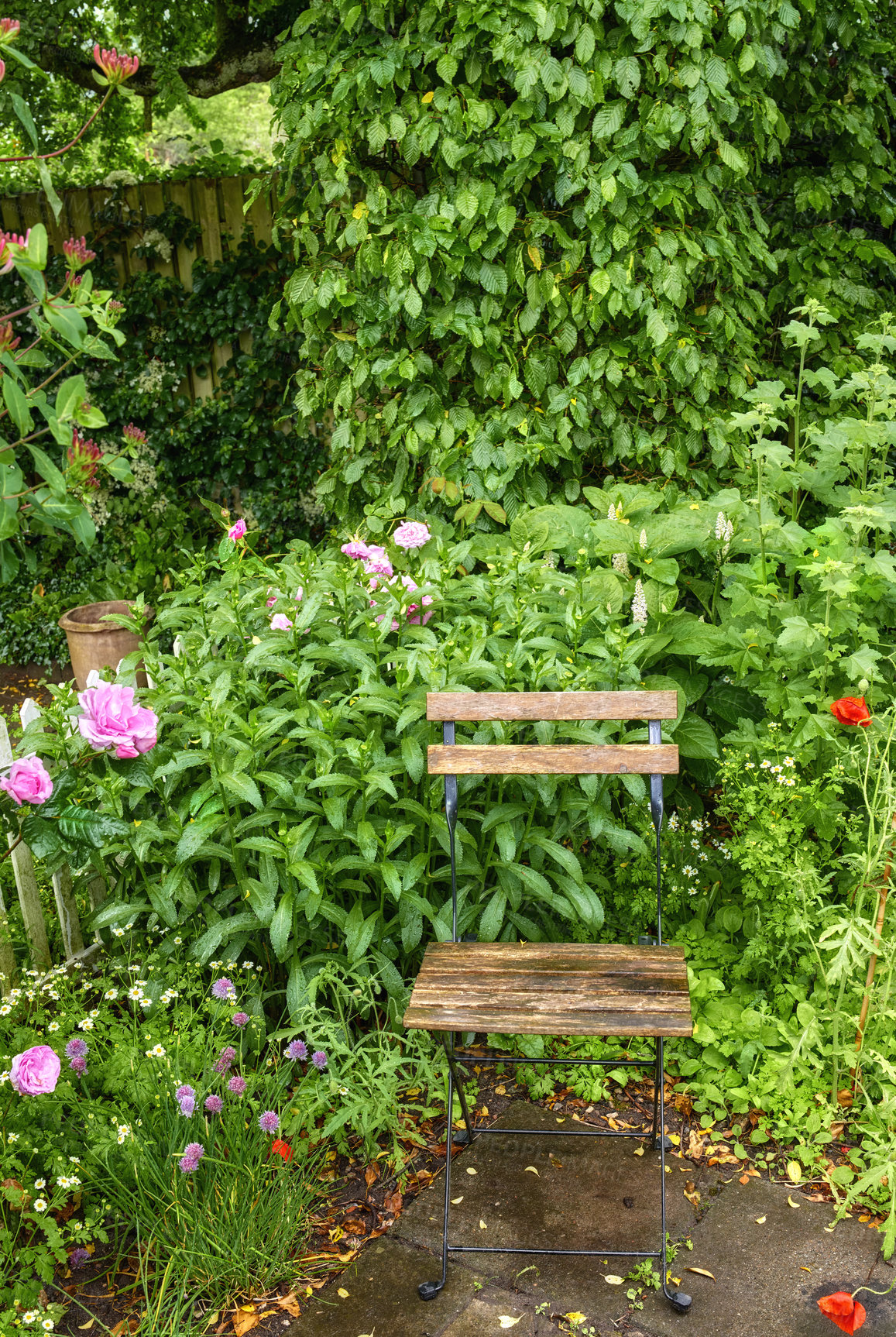 Buy stock photo A series of beautiful garden photos