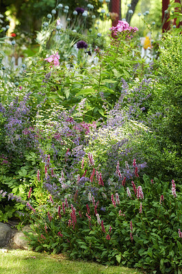 Buy stock photo A series of beautiful garden photos