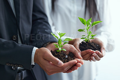 Buy stock photo Shot of two colleagues holding plants
