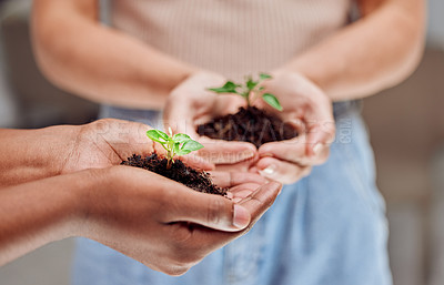 Buy stock photo Cropped shot of two  unrecognizable people holding plants growing out of soil