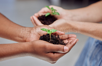 Buy stock photo Plants, people and hands with growth, development and sustainable business planning for future green investment. Support, trust and teamwork for eco friendly agro farming, care and natural resources.