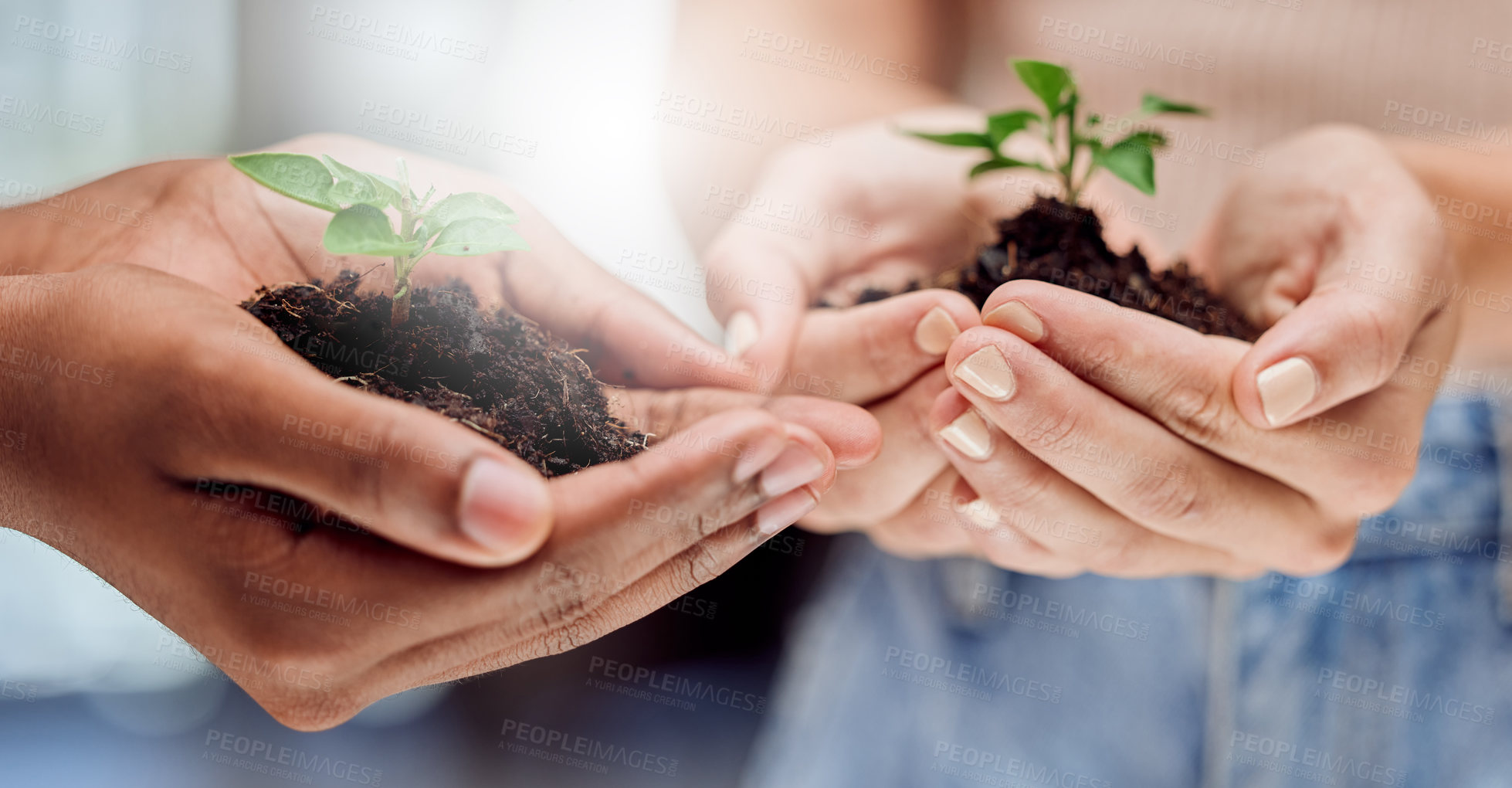 Buy stock photo Plants, people and hands with growth, sustainability and green business planning for future investment. Support, development and teamwork for eco friendly agro farming, care and natural resources.