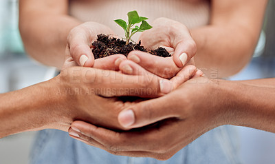 Buy stock photo Plants, people and hands together for growth, development and sustainable business planning for green investment. Support, trust and teamwork for eco friendly agro farming, care and natural resources