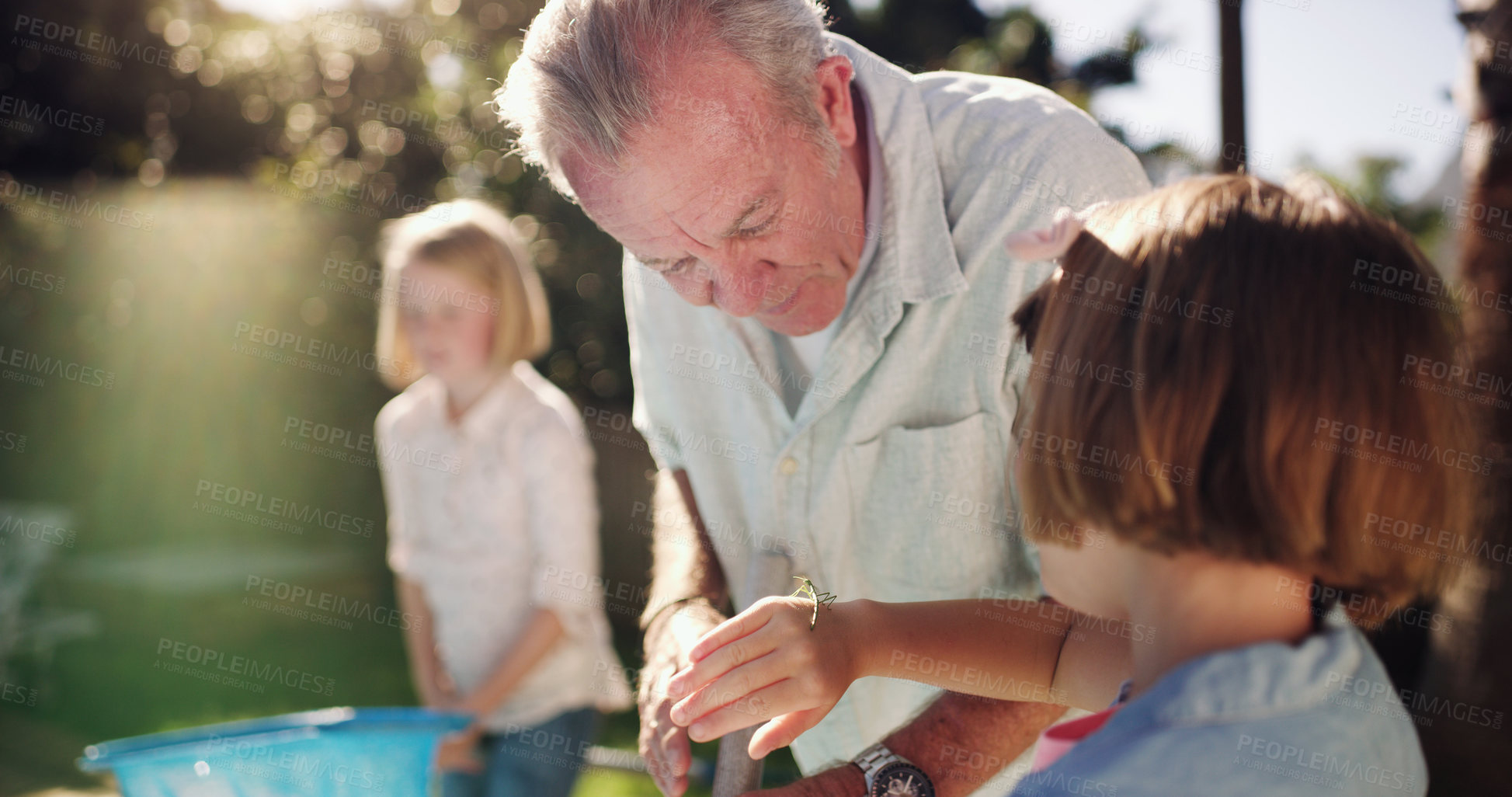 Buy stock photo Elderly man, child and learning about nature in garden for development, environment and bugs. Senior male person, young girl and teaching outdoor for bond, family and kid with grandpa for connection