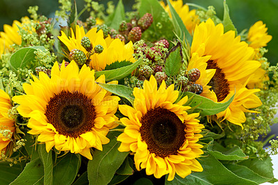 Buy stock photo A series of beautiful garden photos