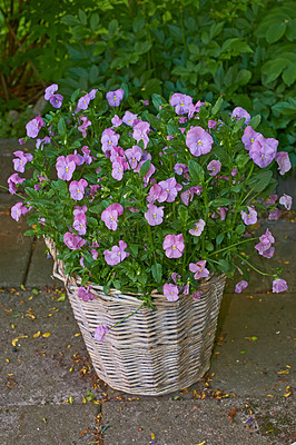 Buy stock photo A series of beautiful garden photos