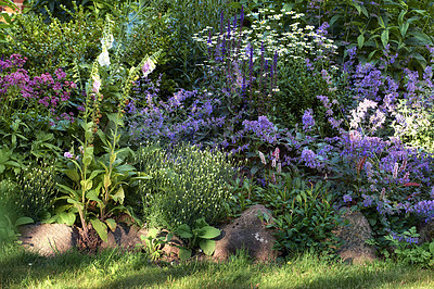 Buy stock photo A series of beautiful garden photos