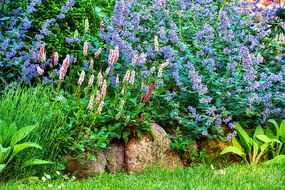 Buy stock photo A series of beautiful garden photos