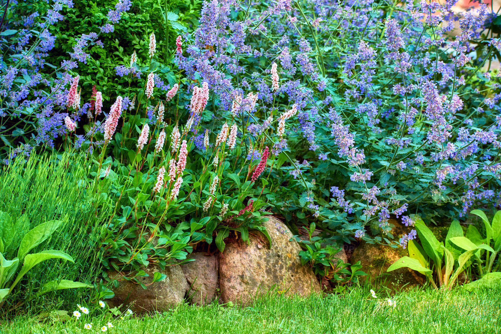 Buy stock photo A series of beautiful garden photos