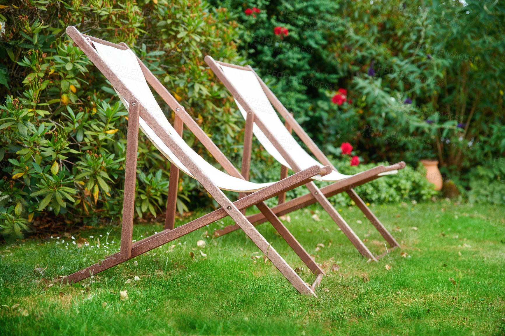 Buy stock photo Two garden chairs on a lawn for a relaxing and quiet view of nature outside. Decorating and landscaping a park or natural environment with seats on grass. Lush plants in a peaceful backyard 