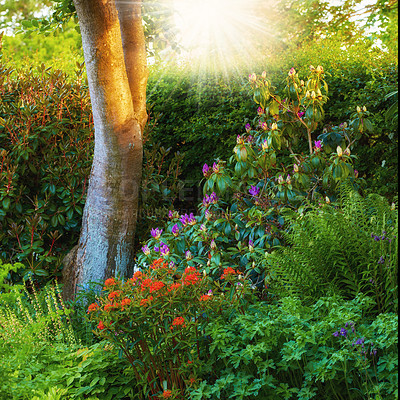 Buy stock photo A series of beautiful garden photos