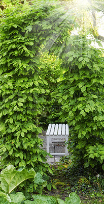 Buy stock photo A series of beautiful garden photos