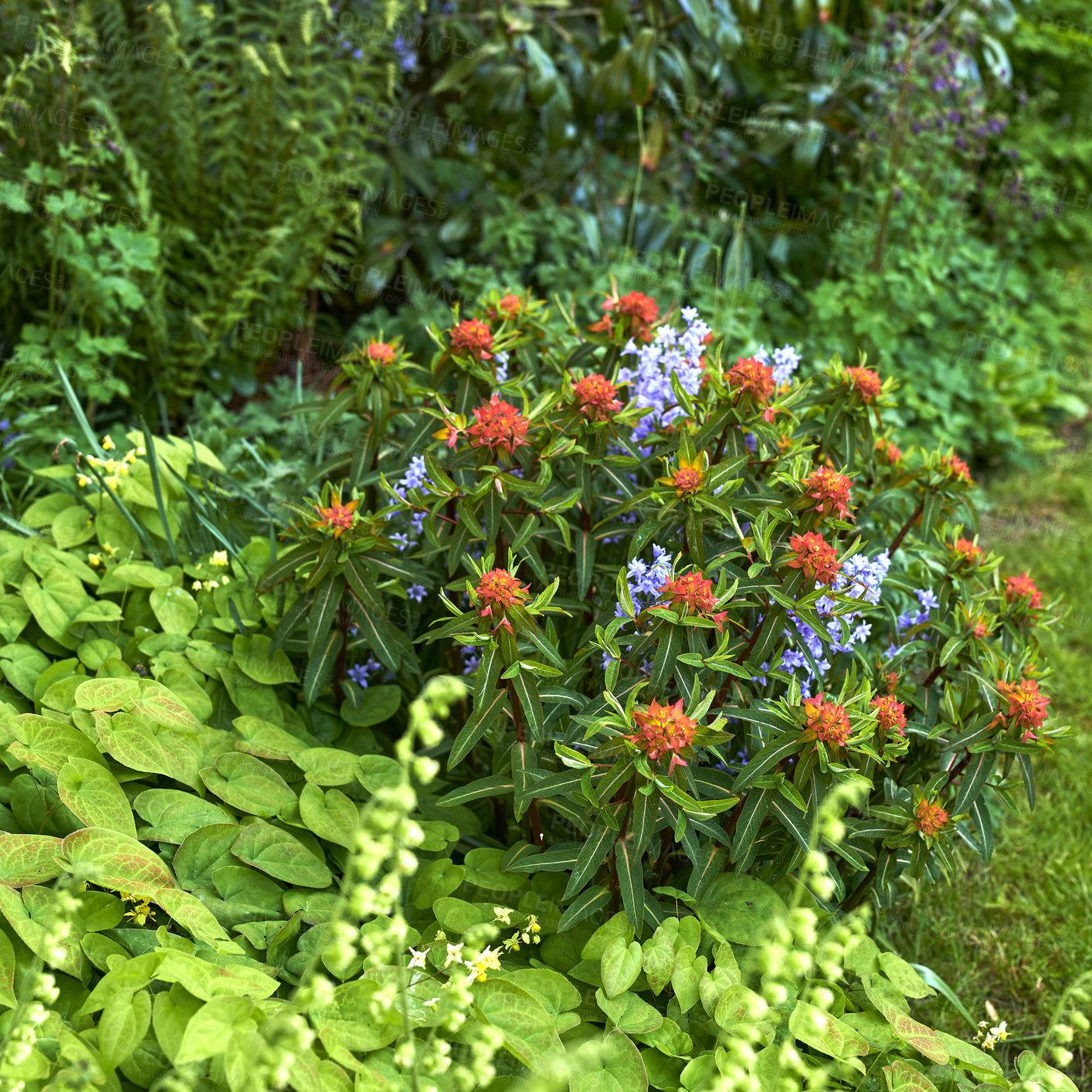 Buy stock photo A photo of beautiful garden details