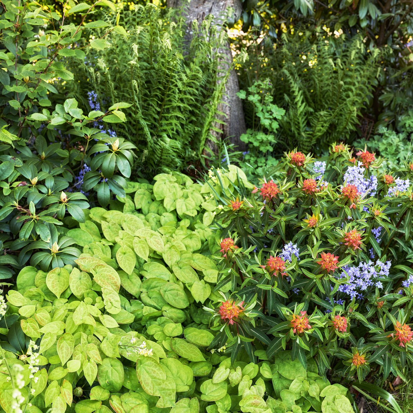 Buy stock photo A photo of beautiful garden details