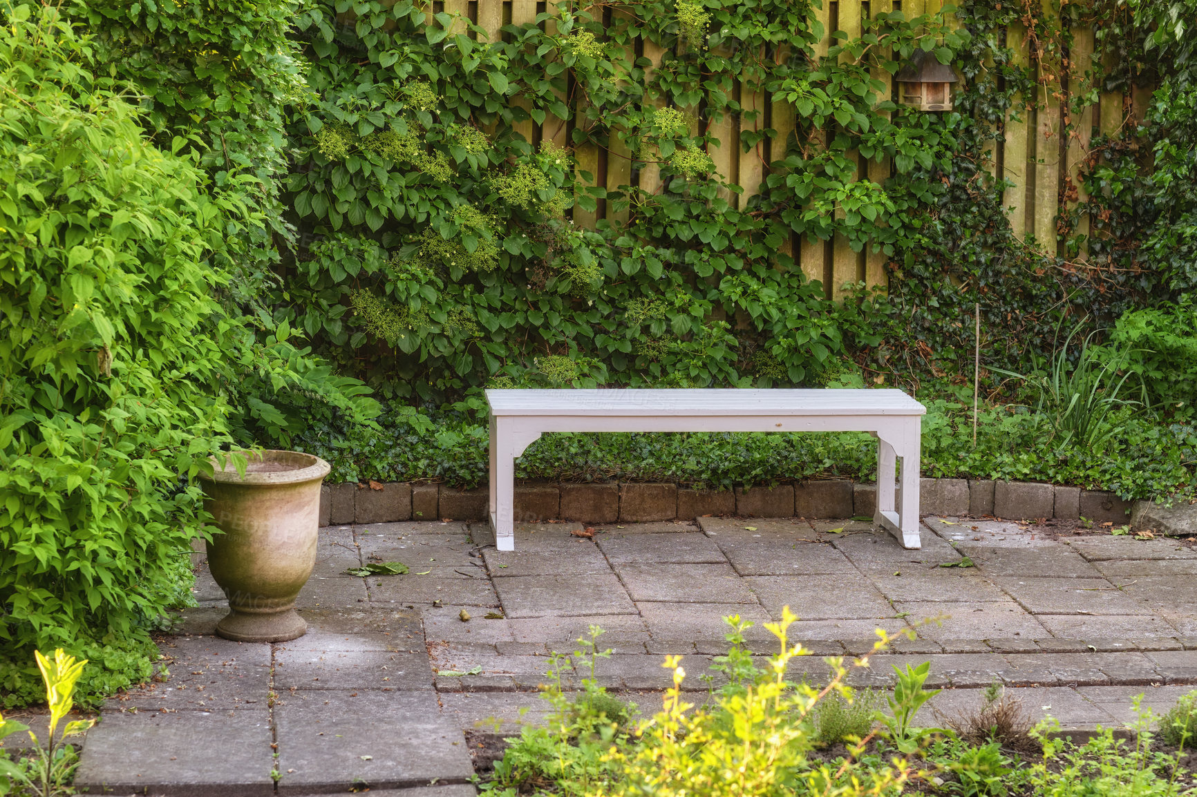 Buy stock photo Private chair in green garden in the beautiful outdoors. A place with green nature views outside. Resting area for relaxation and isolated seating area surrounded by natural life.