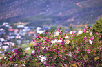 Table Mountain and surroundings  