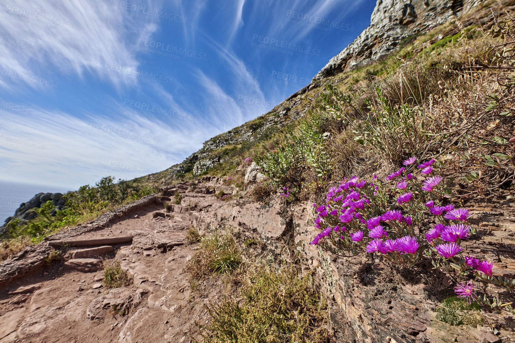 Buy stock photo Beautiful mountain peaks, green lush bushes and trees growing peacefully on Table mountain. Large area of rocky landscape with calming fresh air, ecological life and harmony