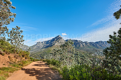 Buy stock photo Scenic hiking trail in nature with Table Mountain against a blue sky copy space background. Rugged and sandy path to explore during a walk in fresh air. Remote and quiet landscape in the wilderness