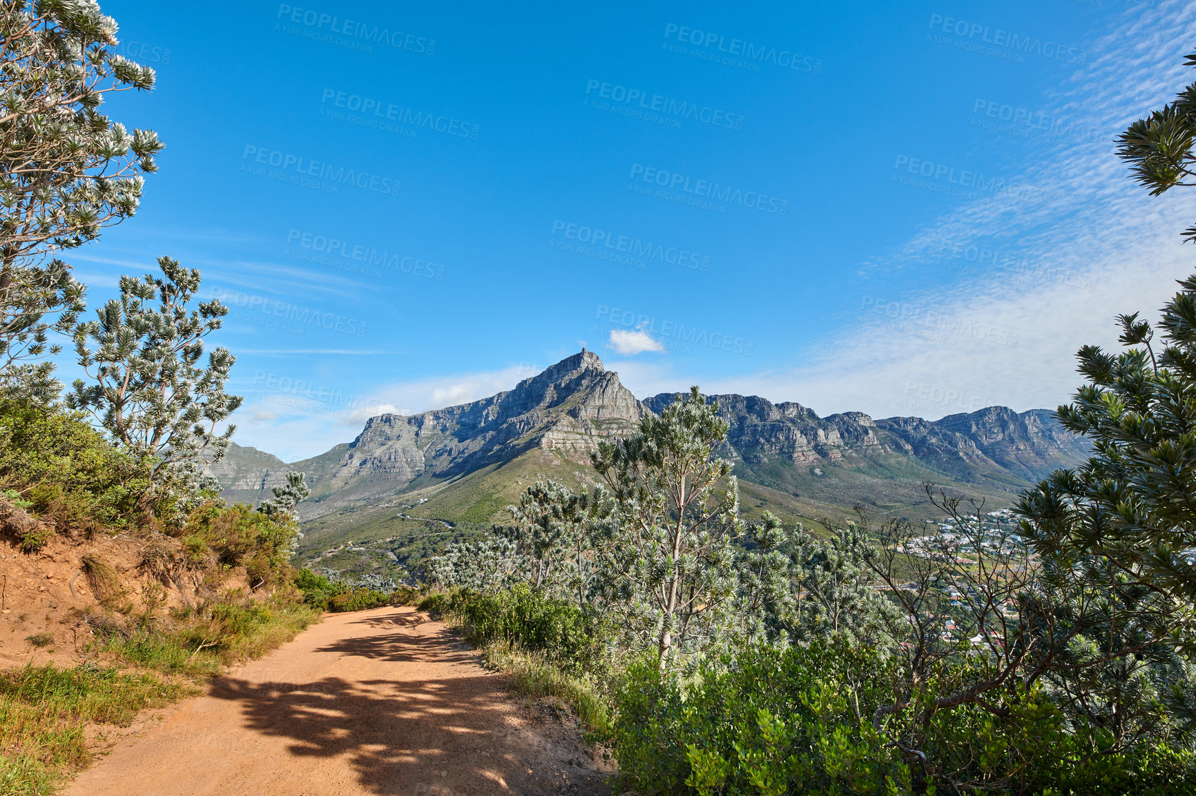 Buy stock photo Scenic hiking trail in nature with Table Mountain against a blue sky copy space background. Rugged and sandy path to explore during a walk in fresh air. Remote and quiet landscape in the wilderness