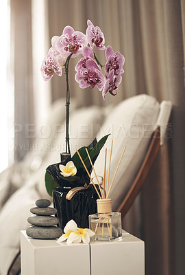 Buy stock photo Still life closeup of a tranquil spa arrangement