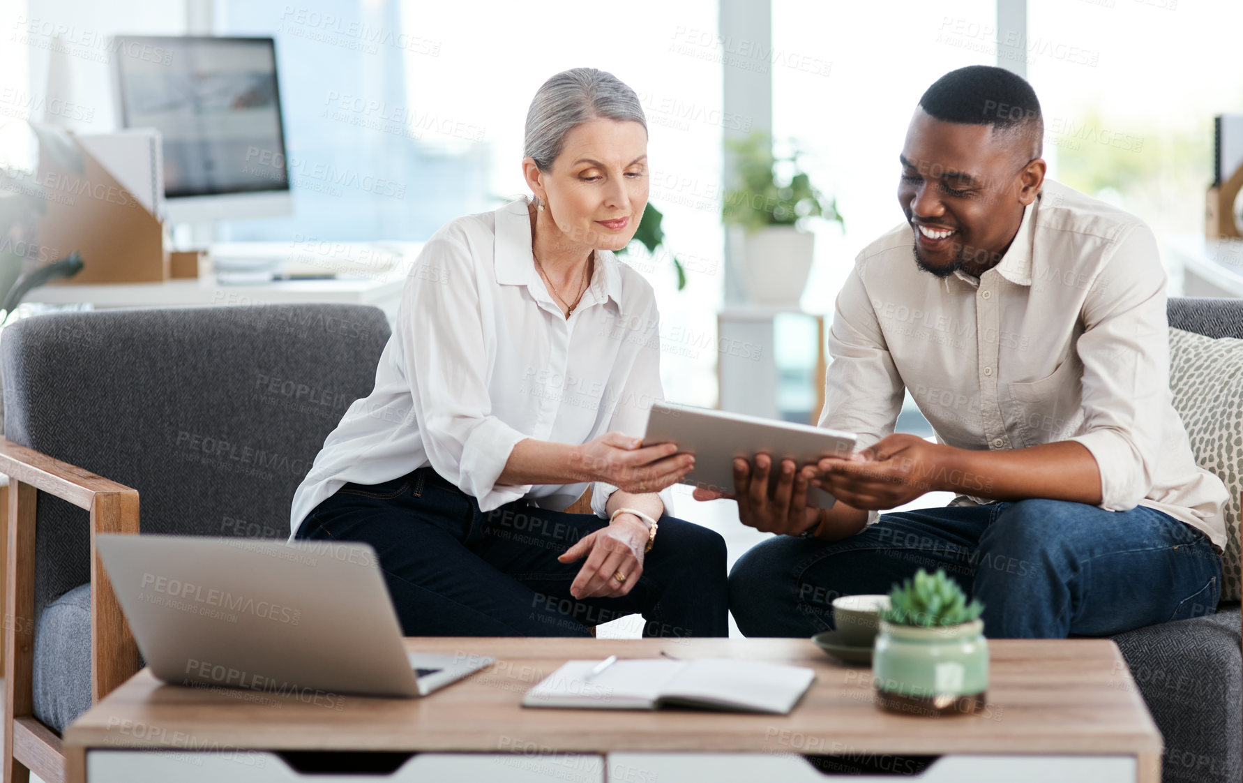 Buy stock photo Shot of two businesspeople using a digital tablet together in an office