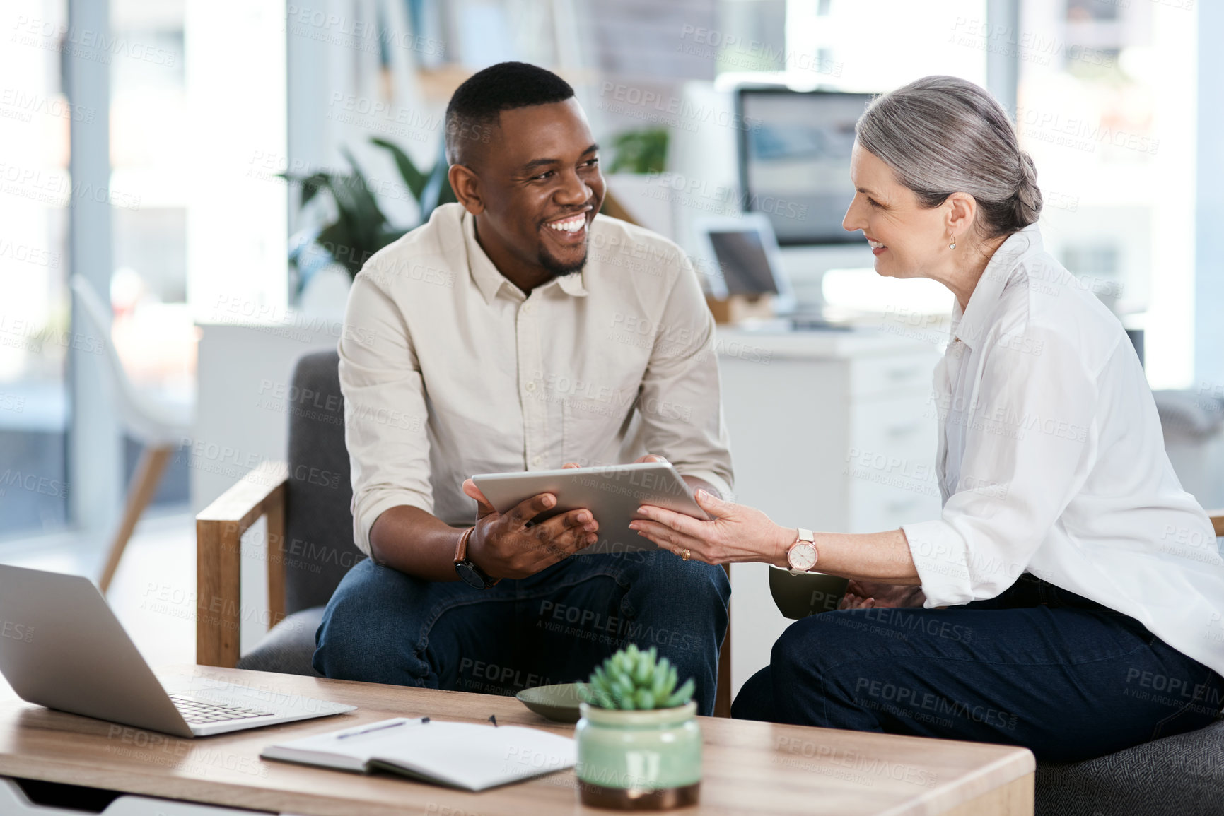 Buy stock photo Shot of two businesspeople using a digital tablet together in an office