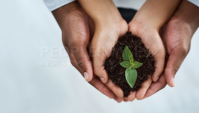 Buy stock photo Cropped shot of an unrecognizable couple holding a plant growing out of soil