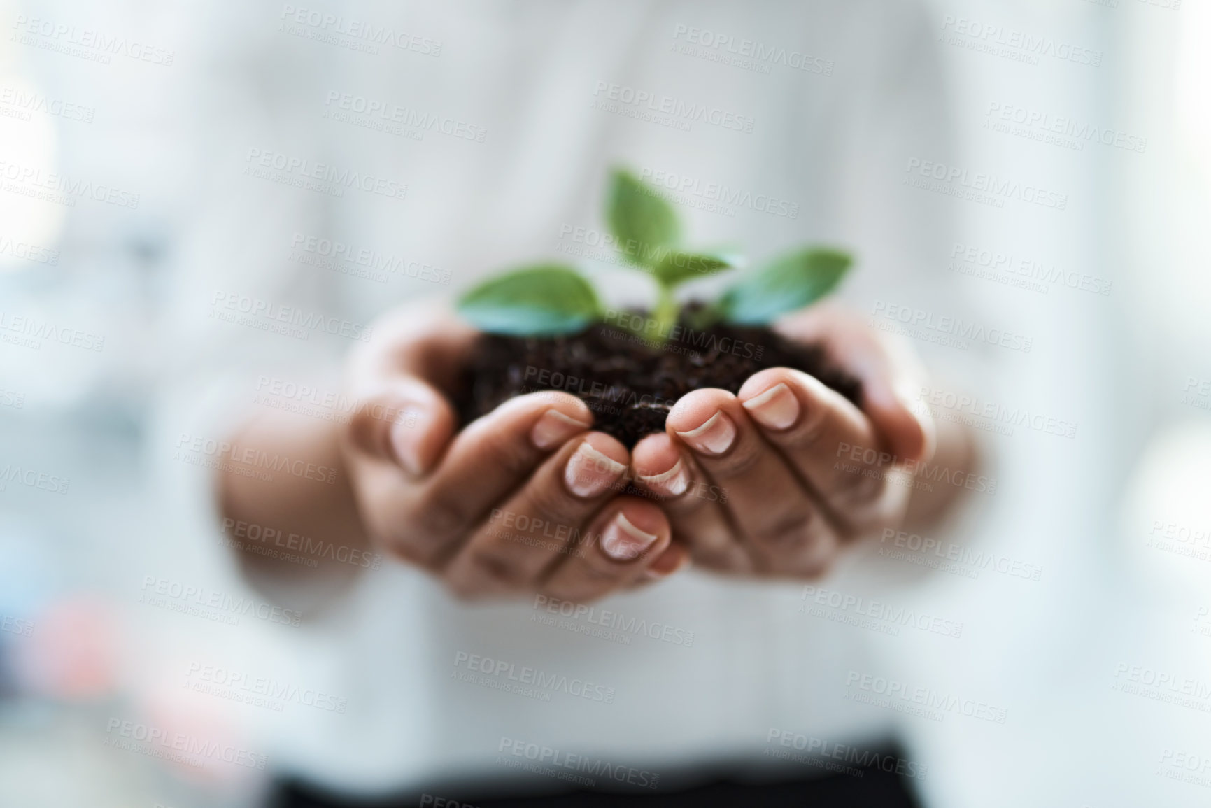 Buy stock photo Cropped shot of an unrecognizable businesswoman holding a plant growing out of soil