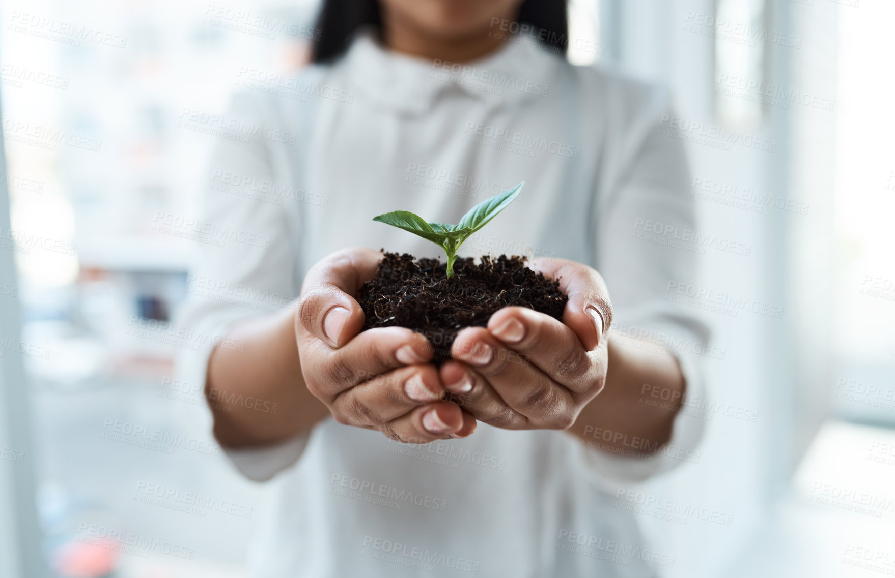 Buy stock photo Cropped shot of an unrecognizable businesswoman holding a plant growing out of soil