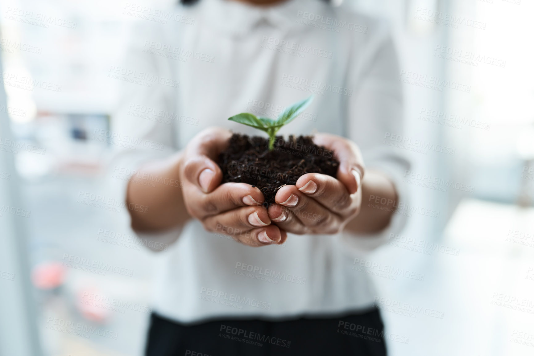 Buy stock photo Cropped shot of an unrecognizable businesswoman holding a plant growing out of soil