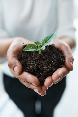 Buy stock photo Cropped shot of an unrecognizable businesswoman holding a plant growing out of soil