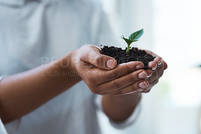 Buy stock photo Cropped shot of an unrecognizable businesswoman holding a plant growing out of soil