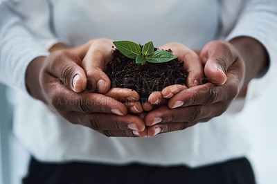 Buy stock photo Cropped shot of an unrecognizable couple holding a plant growing out of soil