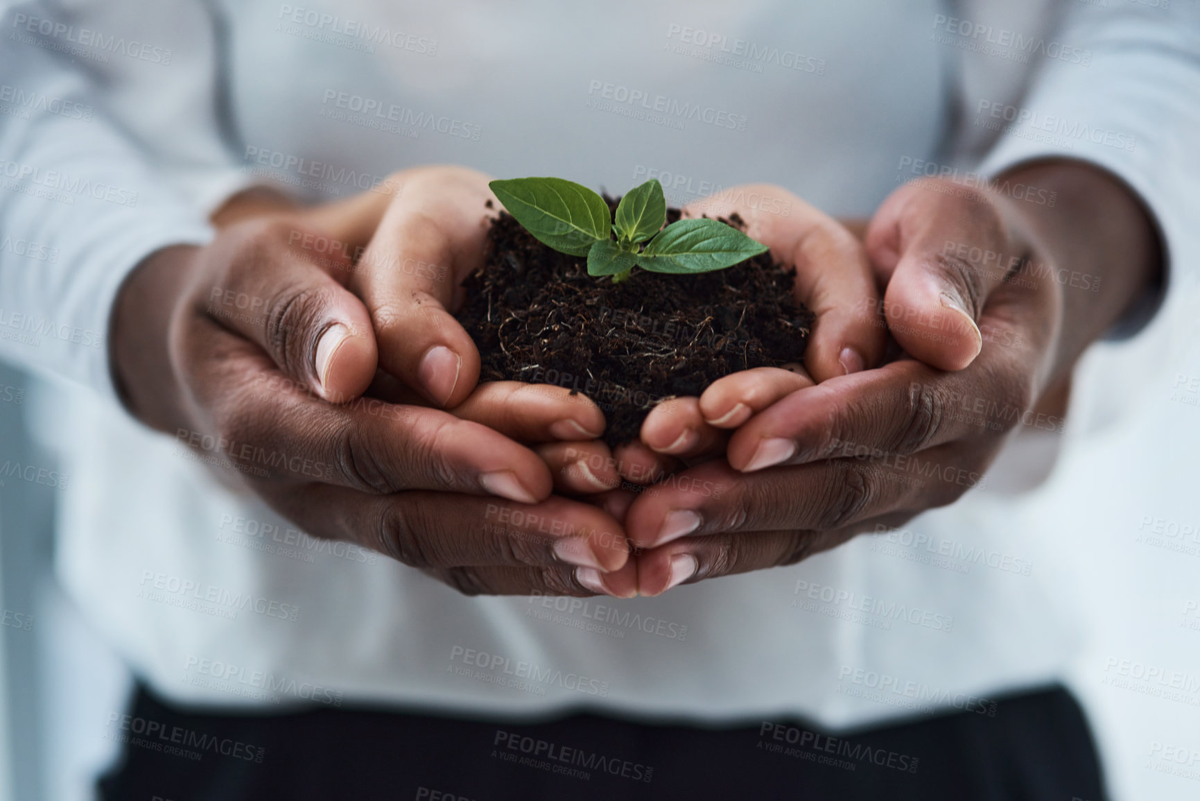 Buy stock photo Cropped shot of an unrecognizable couple holding a plant growing out of soil
