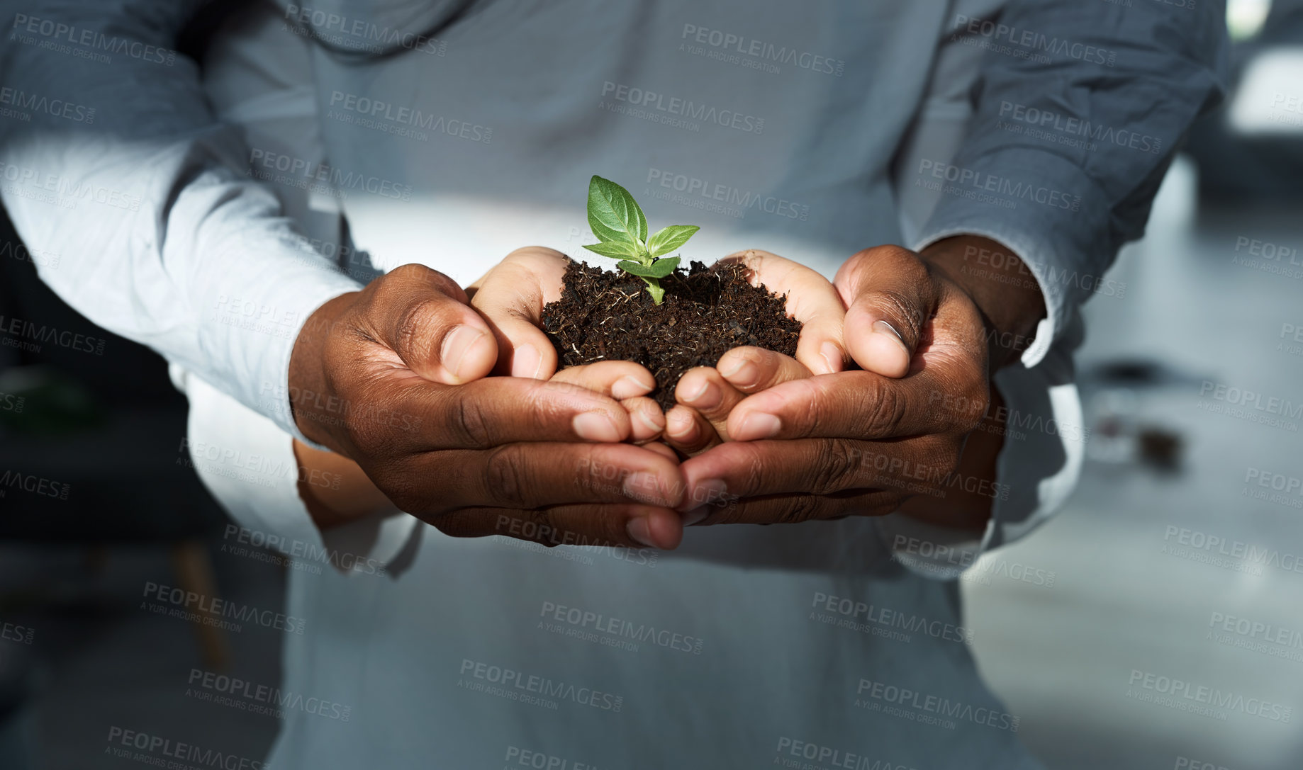 Buy stock photo Cropped shot of an unrecognizable couple holding a plant growing out of soil