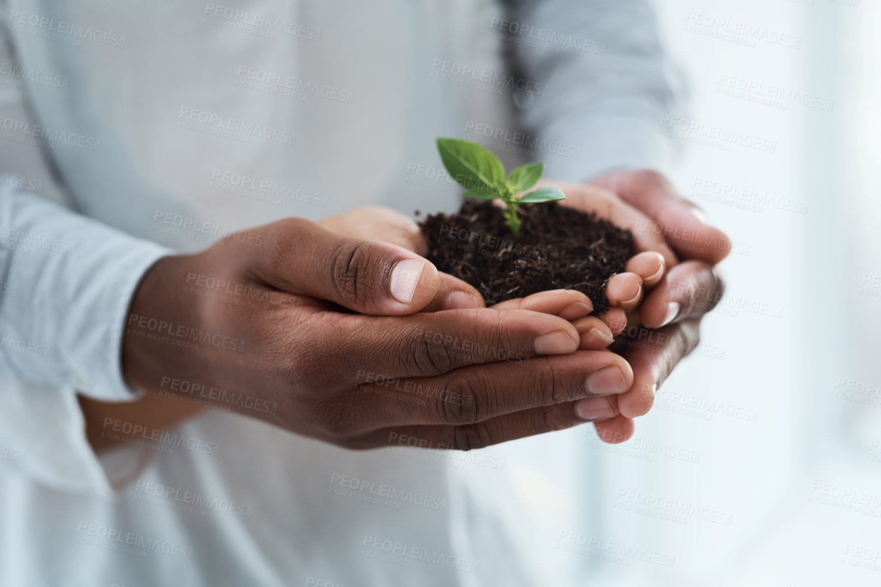 Buy stock photo Cropped shot of an unrecognizable couple holding a plant growing out of soil