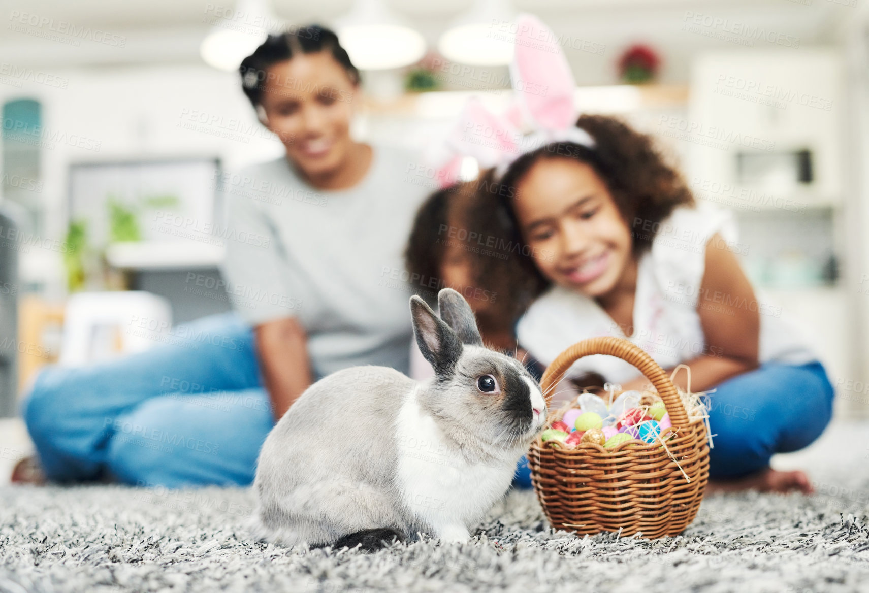 Buy stock photo Shot of a little girl playing with a rabbit at home